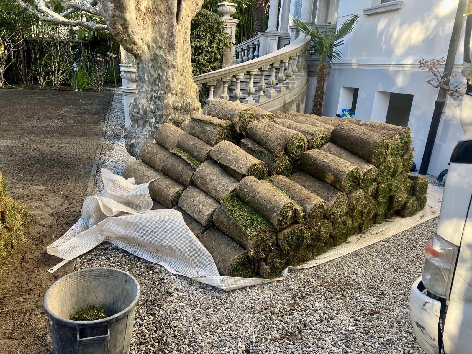 Tappeto erboso Tappeto erboso — Giardinaggio, opera Nikola Giardini e Figli in Ticino